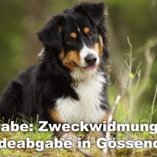 Eingabe – Zweckwidmung der Hundeabgabe in Gössendorf