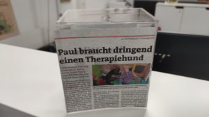 Unterstützung bei Therapiehund für sechsjährigen Paul in Gössendorf