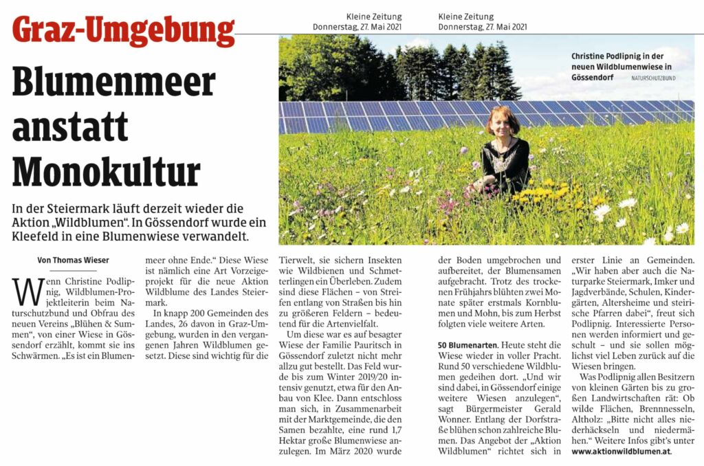 Kleine Zeitung 27. Mai 2021 – Wildblumenwiese Gössendorf