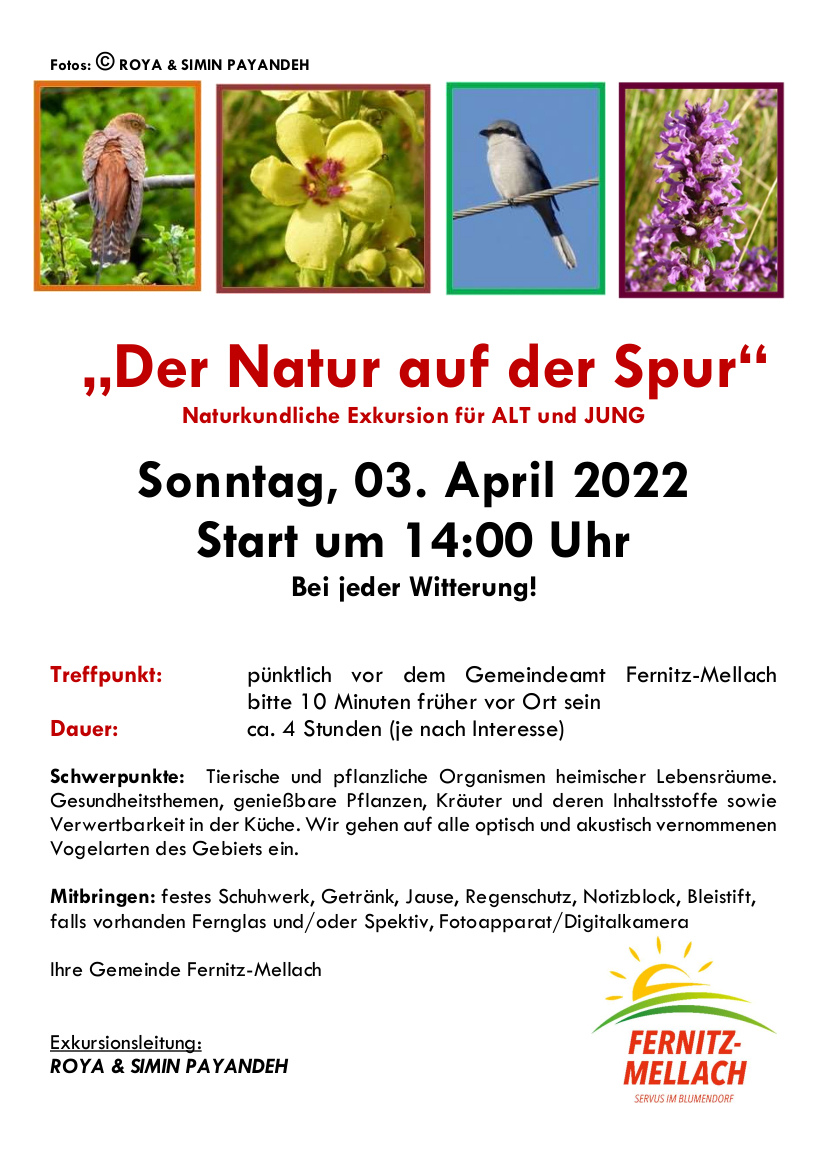 Naturkundliche Exkursion – „Der Natur auf der Spur“ in Fernitz-Mellach