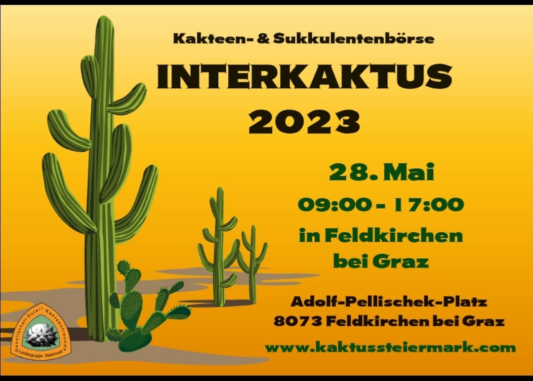 Interkaktus in Feldkirchen bei Graz
