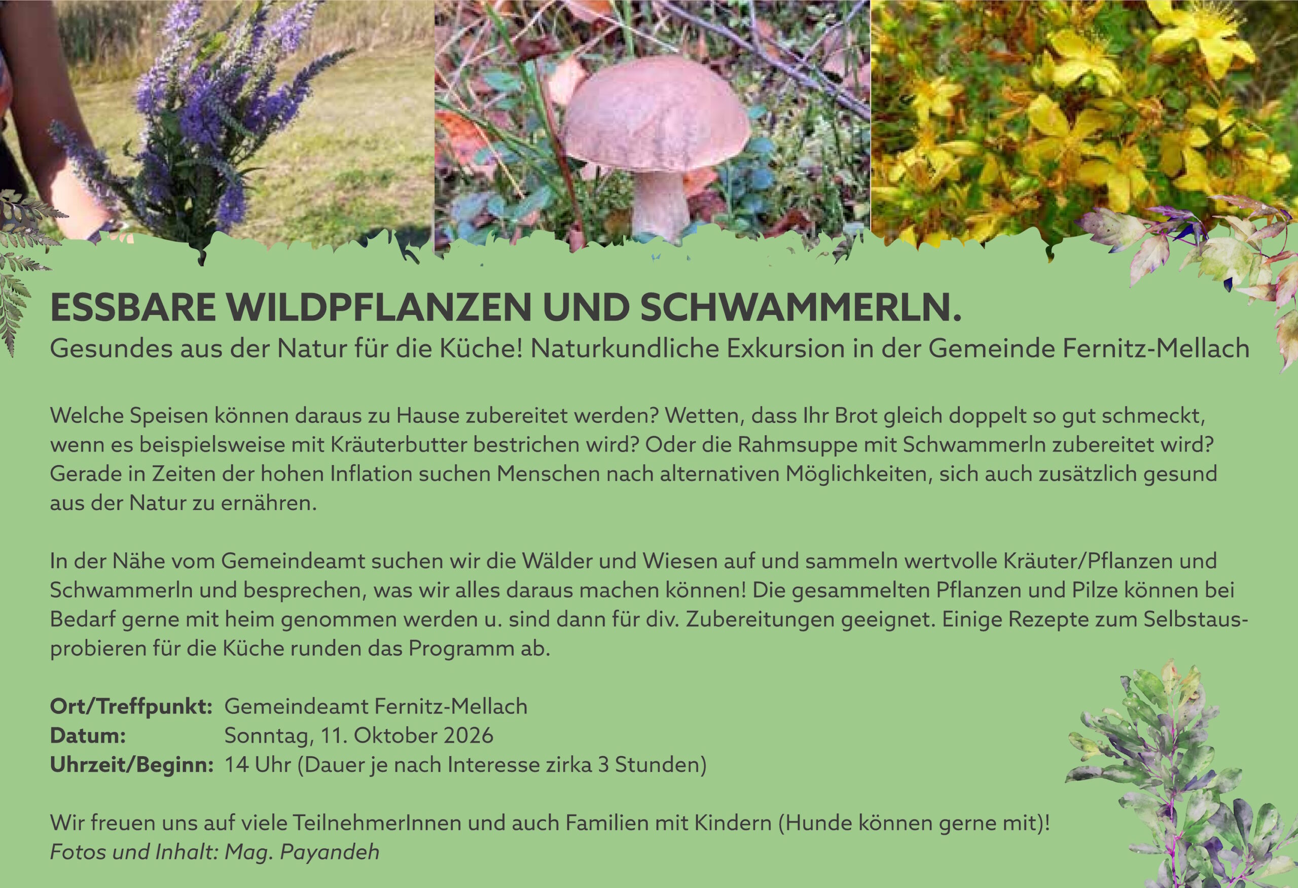 Auf Entdeckungstour: Essbare Wildpflanzen und Schwammerln in Fernitz-Mellach